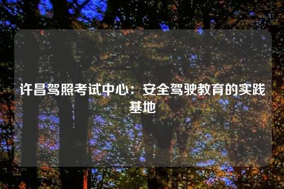 许昌驾照考试中心：安全驾驶教育的实践基地