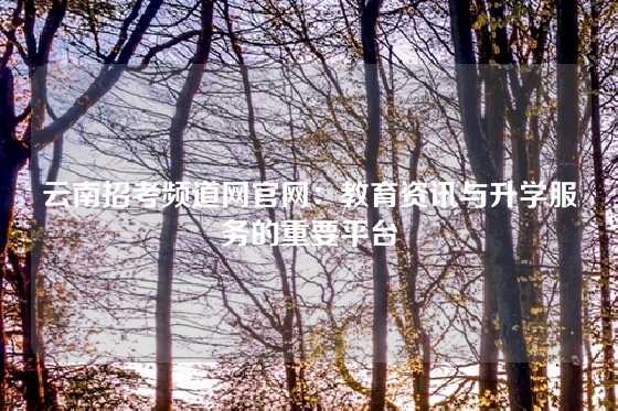 云南招考频道网官网：教育资讯与升学服务的重要平台