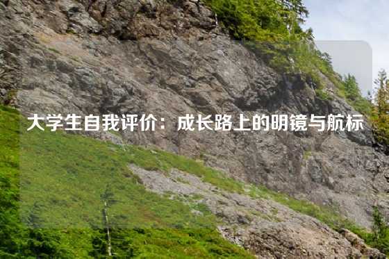 大学生自我评价：成长路上的明镜与航标