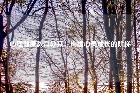 心理健康教育教案：构建心灵成长的阶梯