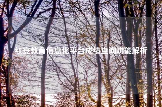 红安教育信息化平台成绩查询功能解析