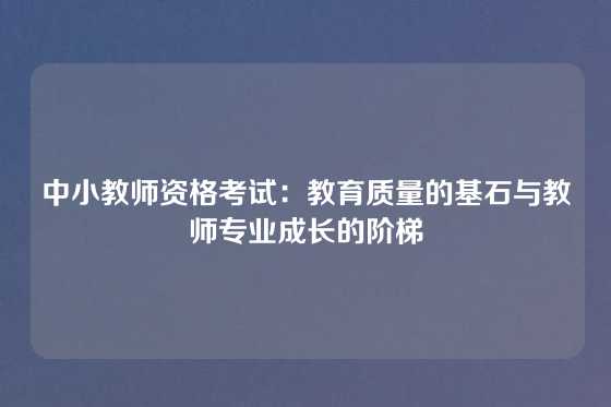 中小教师资格考试：教育质量的基石与教师专业成长的阶梯