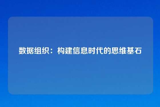 数据组织：构建信息时代的思维基石