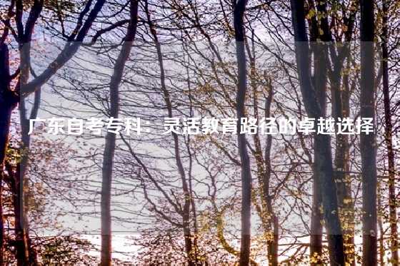 广东自考专科：灵活教育路径的卓越选择
