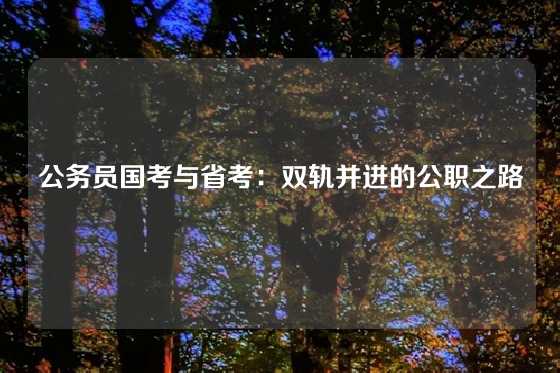 公务员国考与省考：双轨并进的公职之路