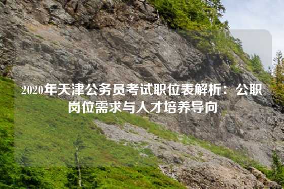 2020年天津公务员考试职位表解析：公职岗位需求与人才培养导向