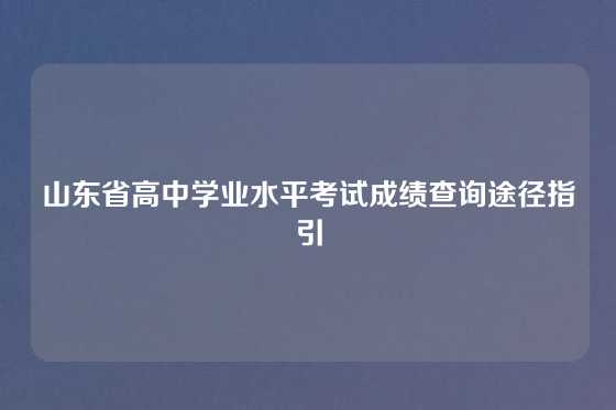 山东省高中学业水平考试成绩查询途径指引