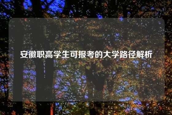 安徽职高学生可报考的大学路径解析