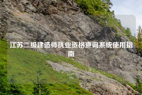 江苏二级建造师执业资格查询系统使用指南