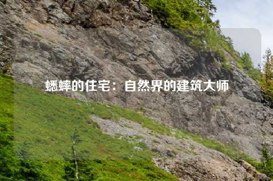 蟋蟀的住宅：自然界的建筑大师