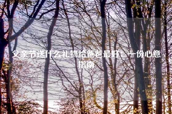 父亲节送什么礼物给爸爸最好:一份心意指南