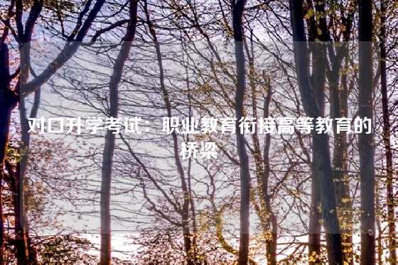 对口升学考试：职业教育衔接高等教育的桥梁