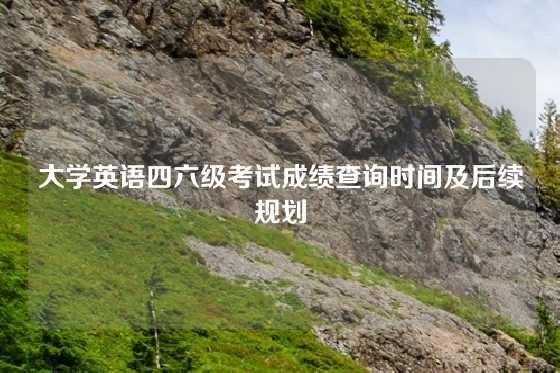 大学英语四六级考试成绩查询时间及后续规划