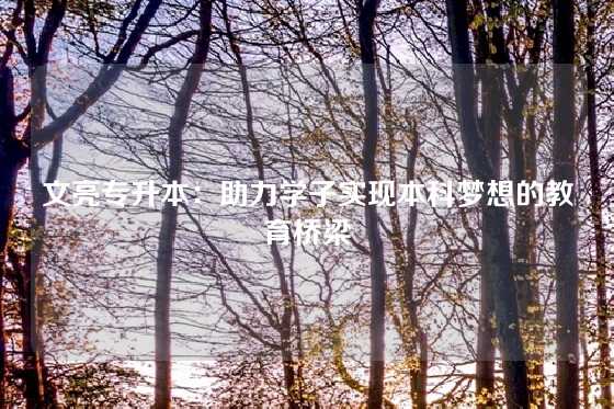 文亮专升本:助力学子实现本科梦想的教育桥梁