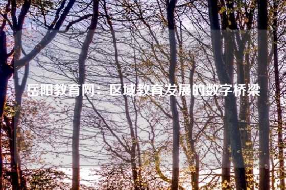 岳阳教育网:区域教育发展的数字桥梁