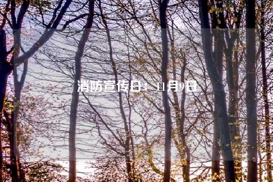 消防宣传日：11月9日