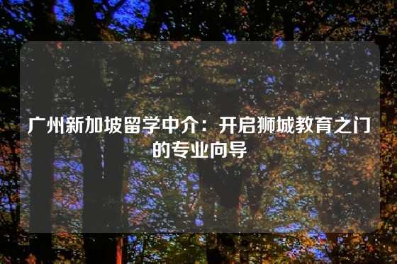 广州新加坡留学中介：开启狮城教育之门的专业向导