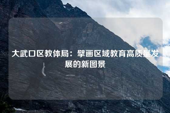 大武口区教体局：擘画区域教育高质量发展的新图景