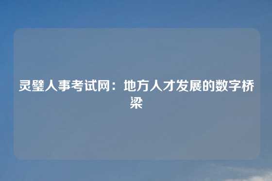 灵璧人事考试网：地方人才发展的数字桥梁