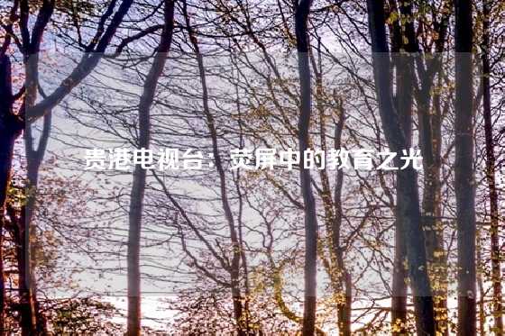 贵港电视台：荧屏中的教育之光